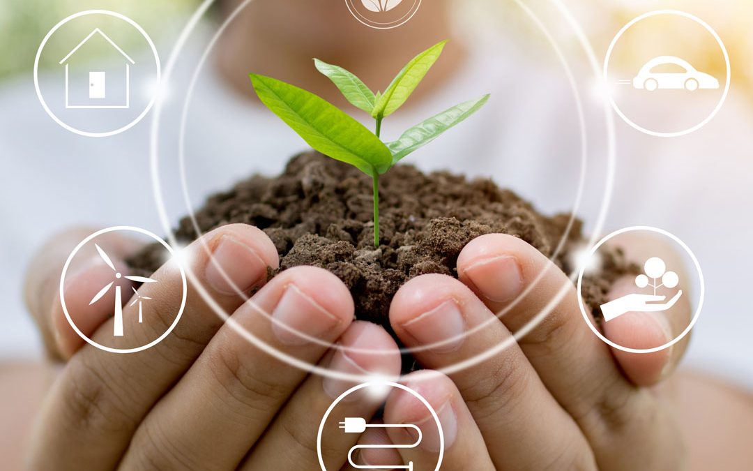 ISO 14001 - Sistema de Gestão Ambiental